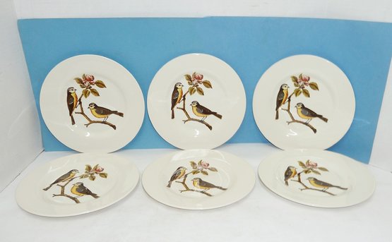 6 Vintage Royal Stafford Bird Plates