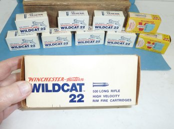 Winchester 22 Wildcat Ammo LOT