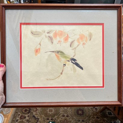 Hummingbird Framed Art (DR)