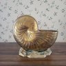 Vintage Mid-Century Hollywood Regency Style Solid Brass Nautilus Shell On Rocky Shore(Living Room)