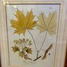 Framed Vintage Botanical Print (BSMT)