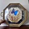 Absolutely Stunning Vintage Mirrored Tray With Pressed Flowers & Butterfly, Gilded Ornate Tray, HALLUCK's (B2)
