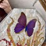Absolutely Stunning Vintage Mirrored Tray With Pressed Flowers & Butterfly, Gilded Ornate Tray, HALLUCK's (B2)