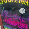 Vintage Grateful Dead First Edition Framed Poster 1994 Spring Tour Desert Sky Pavilion Phoenix, AZ (MC)