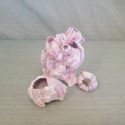 Natural Pink/ Purple Barnacle Balanus Sea Shell Set Of 3