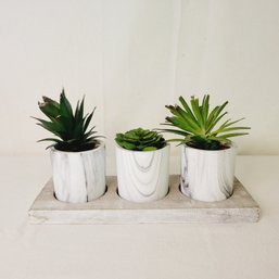 Faux Mini Plants