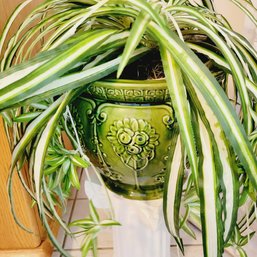 Green Glazed Weller Planter On Pedestal With Faux Plant (Kitchen)