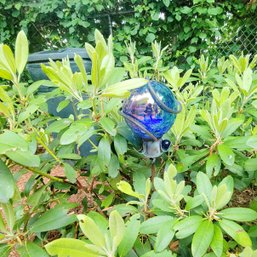 Blue Glass Lawn Sphere (Backyard)