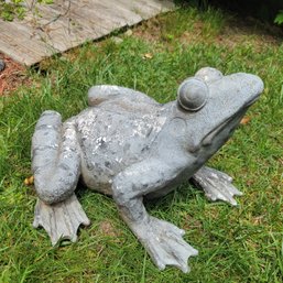 Plastic Frog Garden Decor (Backyard)