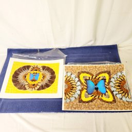 Vintage Blue Morpho Butterfly & Moth Wing Pictures In Excellent Condition Hand Made Brazil