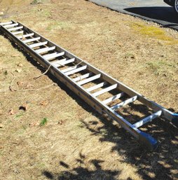 Large Werner Adjustable Ladder (Garage)