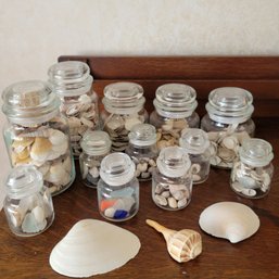 Glass Yankee Candle Jars Full Of Seashells (Living Room)
