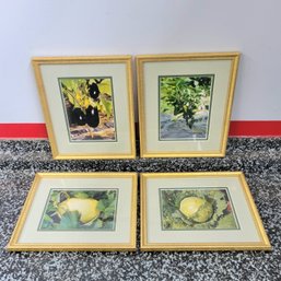 Set Of 4 Vegetable Themed Signed Framed Art Pieces By Pat Brennan