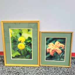 Pair Of Framed Flower Photographs By Pat Brennan