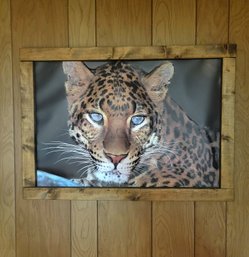 Framed 3D Jaguar Print (Bsmt)