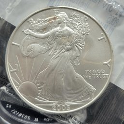 1oz. Fine Silver 2005 One Dollar Walking Liberty Silver Eagle Coin  Uncirculated Small Tarnish Spot (#1)