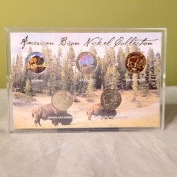 American Bison Nickel Collection