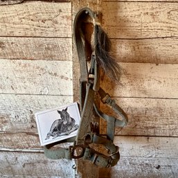 Sentimental Collector's Items For Horse Enthusiasts: Harness With Piece Of Mane & Lovely Note (zone 2)