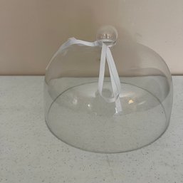 Large Glass Cloche (Living Rm)