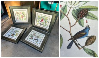Set Of Four Vintage Inspired Square Bird Framed Art Prints (KG)