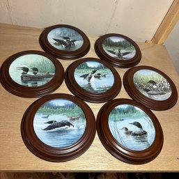 Seven Plates From 'The Loon: Voice Of The North' Collection In Wooden Holders (Bsmt 2)
