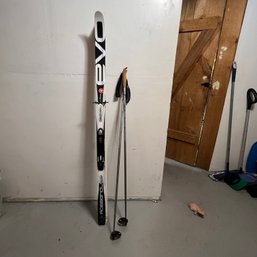 L.L. Bean Rossignol Cross-country Skis 160cm And Poles (zone 2)