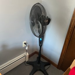 Tall Pedestal Fan (First Floor BR 1)