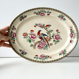 Antique WHIELDON WARE Oval Pheasant Platter, F Winkle & Co England, Semi Porcelain (MB)