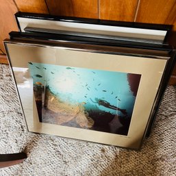 Framed Photographs From The Gulf Of Maine - Set Of 6 (den)