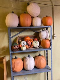 So Many Pumpkins! Decorative Pumpkins In Assorted Sizes (Basement)