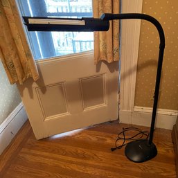 OttLite Standing Adjustable Lamp (Hallway)