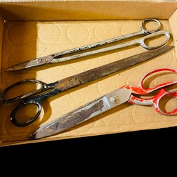 Large Metal Scissors Lot (Back Table)