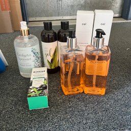 Pecksniff's Hand Soap, Microstem Hair Care, Aloe Gel And More (garage)