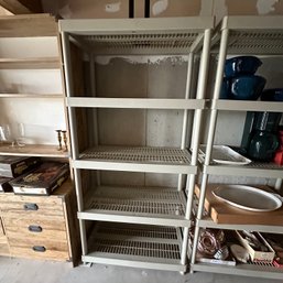 Plastic Shelving Unit #1 (Basement)