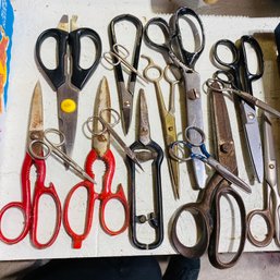 Assorted Large And Small Scissors Lot (Loc: Left Table)