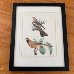 Vintage JW Hill Framed & Matted Lithograph Of 2 Birds (Attic 1)