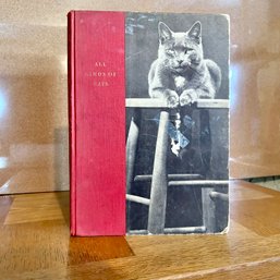 1952 First Edition 'all Kinds Of Cats' Hardcover Book