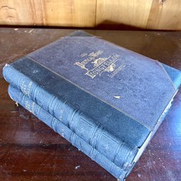 Pair Of Antique Leather Volumes Of 'the Poetical Works Of Longfellow Illustrated' 1879, 1880 - See Pics (garU