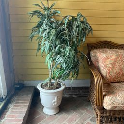 6' Tall Faux Silk Dracaena Plant In White Ceramic Pot (Porch)