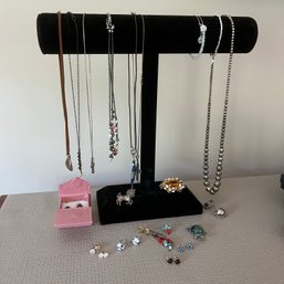 Costume Jewelry Necklaces, Earrings And Pins With Necklace Holder (Master BR)