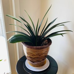 Live Bush Lily Plant With Ceramic Planter No. 1 (Livingroom)