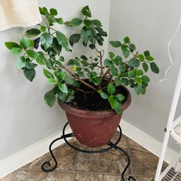 Foliage Plant With Pot Stand (Upstairs Bathroom)