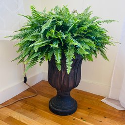 Beautiful Healthy Live Boston Fern Plant In Urn (See Photos For Crack On Urn) Office