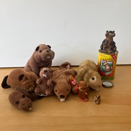 Beavers! Assorted Lot (NK)