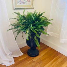 Live Boston Fern Plant Plant In Urn (crack On Urn-see Photos) Office