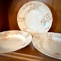 Gorgeous Trio Of Antique T&R BOOTE ENGLAND Castelar Royal Semi Porcelain Dishes, Beautiful Crazing (DR)