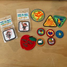 Vintage Girl Scout Patches (NK)