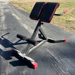 Sportsroyals Brand Roman Chair Workout Gym Equipment (Garage)