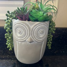 Owl Planter With Faux Succulents (Kitchen)