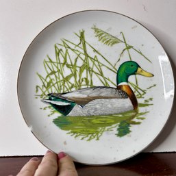 Vintage Duck Plate 1979 RUBEL 'waterfowl' By Ned Smith (b2)